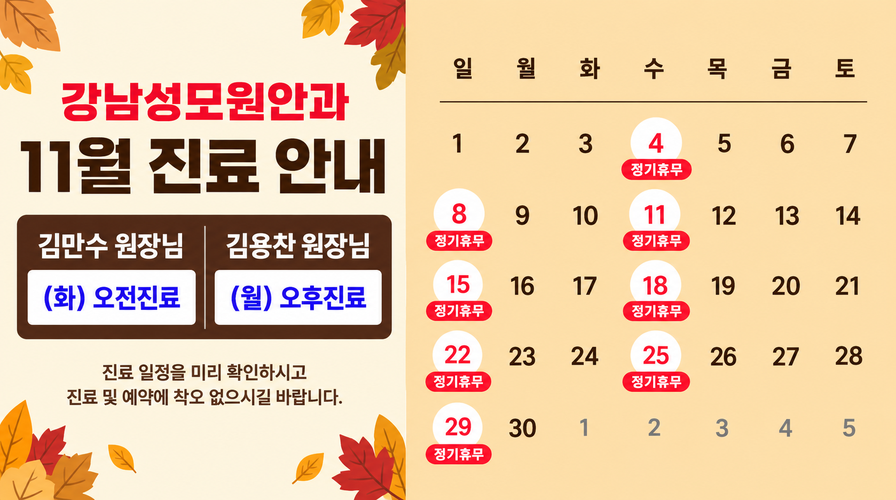 11월 진료일정 안내